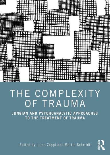Luisa Zoppi, Martin Schmidt - Complexity of Trauma, Häftad