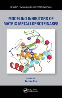 bokomslag Modeling Inhibitors of Matrix Metalloproteinases