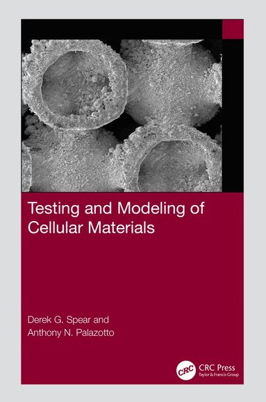 bokomslag Testing and Modeling of Cellular Materials