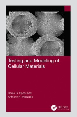 Testing and Modeling of Cellular Materials 1