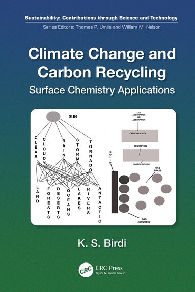 K. S. Birdi - Climate Change and Carbon Recycling, Häftad