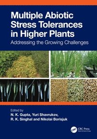 bokomslag Multiple Abiotic Stress Tolerances in Higher Plants