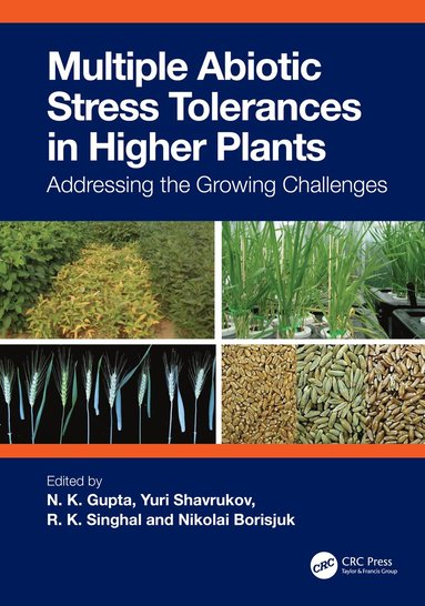 bokomslag Multiple Abiotic Stress Tolerances in Higher Plants