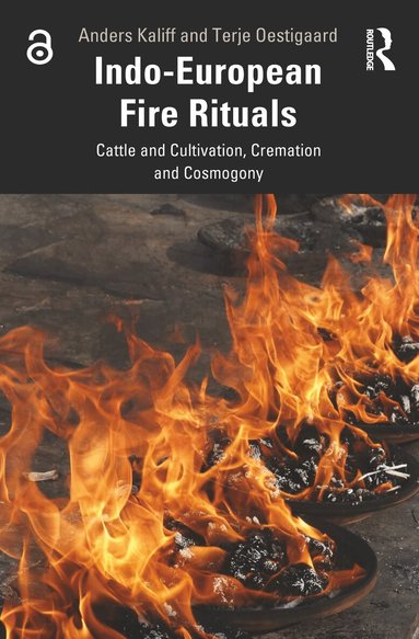 Anders Kaliff, Terje Oestigaard - Indo-European Fire Rituals, Häftad