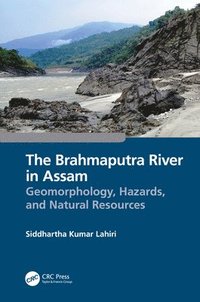 bokomslag The Brahmaputra River in Assam