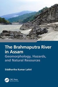 bokomslag The Brahmaputra River in Assam