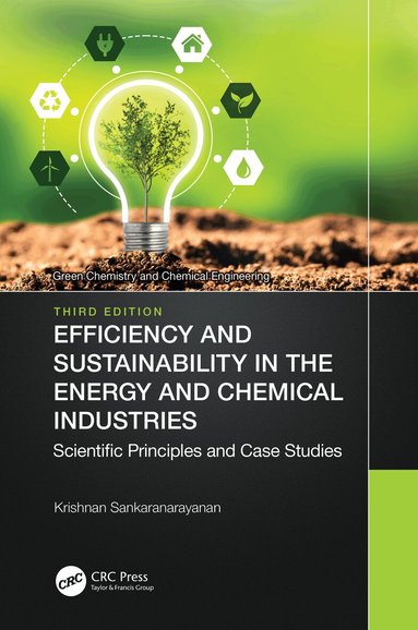 Krishnan Sankaranarayanan - Efficiency and Sustainability in the Energy and Chemical Industries, Inbunden
