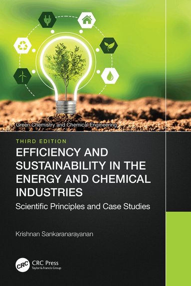 Krishnan Sankaranarayanan - Efficiency and Sustainability in the Energy and Chemical Industries, Häftad