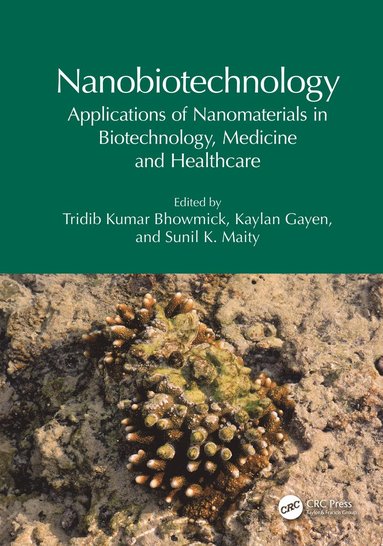 bokomslag Nanobiotechnology