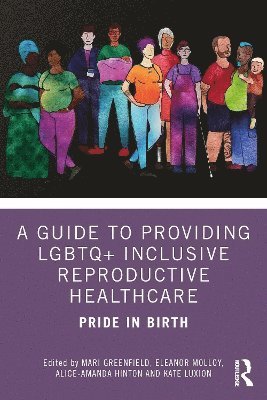Mari Greenfield, Kate Luxion, El Molloy, Alice-Amanda Hinton - Guide to Providing LGBTQ+ Inclusive Reproductive Health Care, Häftad