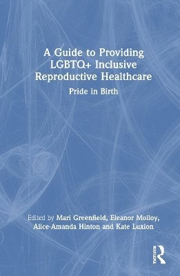 bokomslag A Guide to Providing LGBTQ+ Inclusive Reproductive Health Care