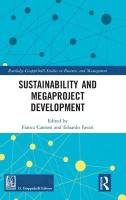 bokomslag Sustainability and Megaproject Development