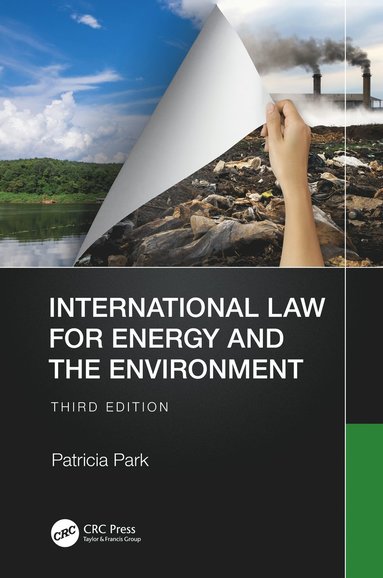 bokomslag International Law for Energy and the Environment