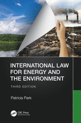 Patricia Park, UK) Park, Patricia (Southampton Solent University - International Law for Energy and the Environment, Inbunden