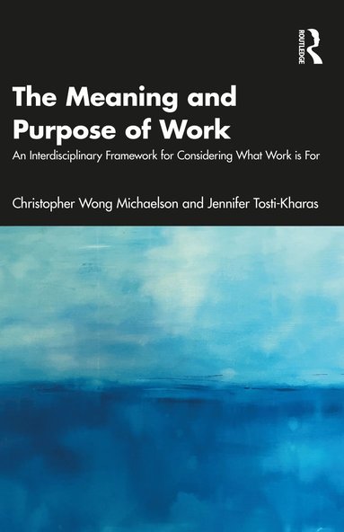 bokomslag Meaning and Purpose of Work