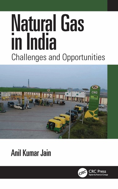 Anil Kumar Jain - Natural Gas in India, Häftad
