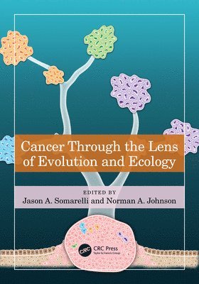 Cancer through the Lens of Evolution and Ecology