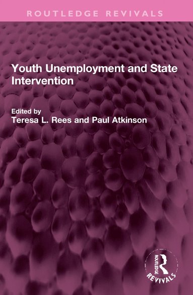 bokomslag Youth Unemployment and State Intervention