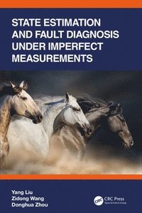 bokomslag State Estimation and Fault Diagnosis under Imperfect Measurements