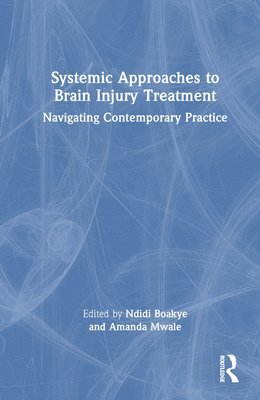 Systemic Approaches to Brain Injury Treatment