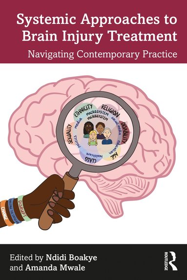 bokomslag Systemic Approaches to Brain Injury Treatment