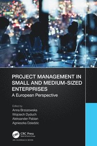 bokomslag Project Management in Small and Medium-Sized Enterprises