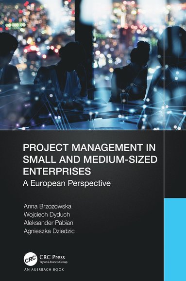 bokomslag Project Management in Small and Medium-Sized Enterprises