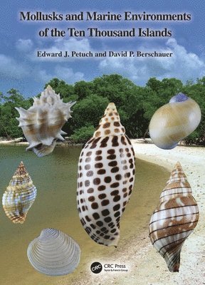 bokomslag Mollusks and Marine Environments of the Ten Thousand Islands
