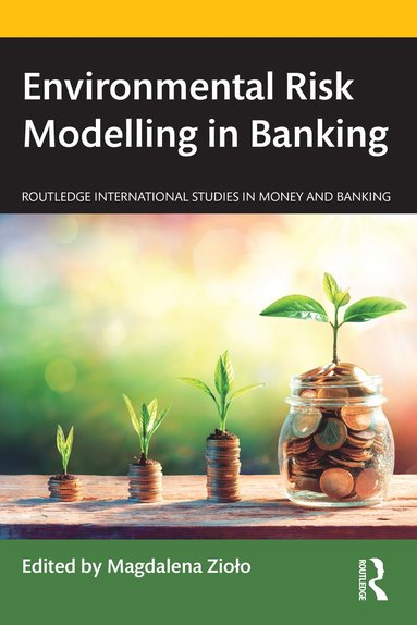 bokomslag Environmental Risk Modelling in Banking