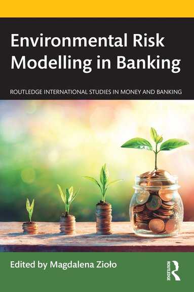 bokomslag Environmental Risk Modelling in Banking