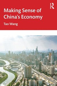 bokomslag Making Sense of China's Economy