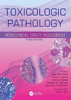 bokomslag Toxicologic Pathology