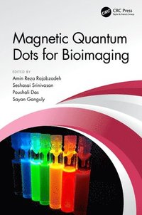 bokomslag Magnetic Quantum Dots for Bioimaging