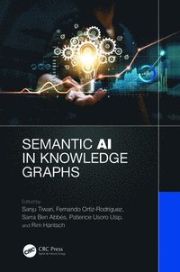 bokomslag Semantic AI in Knowledge Graphs