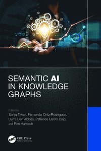 bokomslag Semantic AI in Knowledge Graphs