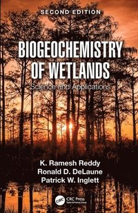 bokomslag Biogeochemistry of Wetlands