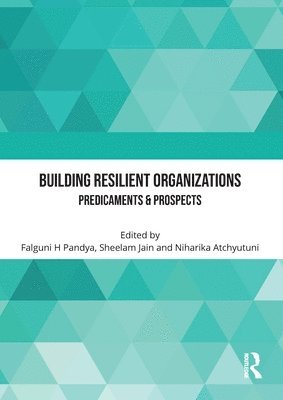 Building Resilient Organizations 1