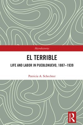 bokomslag El Terrible: Life and Labor in Pueblonuevo, 1887-1939