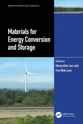 Materials for Energy Conversion and Storage 1