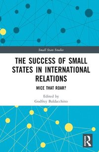 bokomslag The Success of Small States in International Relations