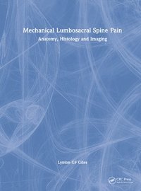 bokomslag Mechanical Lumbosacral Spine Pain