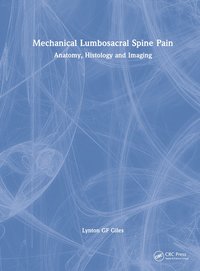 bokomslag Mechanical Lumbosacral Spine Pain