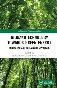 bokomslag Bionanotechnology Towards Green Energy