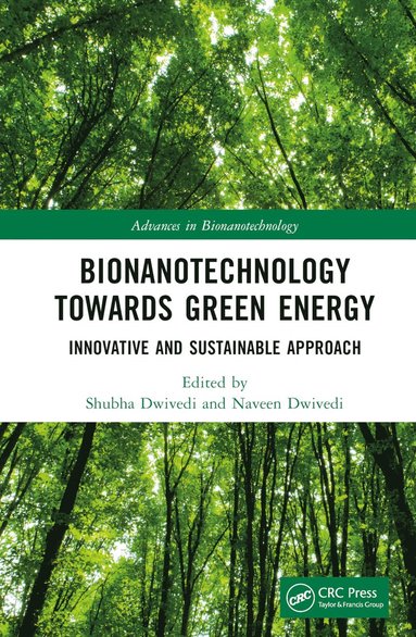 bokomslag Bionanotechnology Towards Green Energy