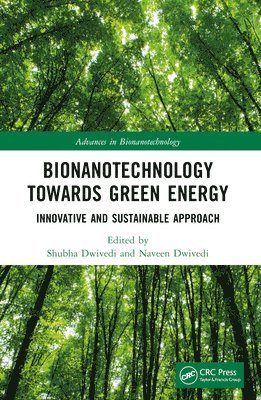 bokomslag Bionanotechnology Towards Green Energy