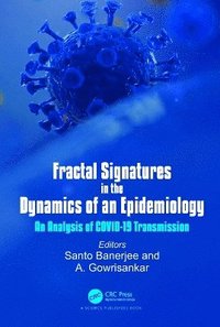 bokomslag Fractal Signatures in the Dynamics of an Epidemiology