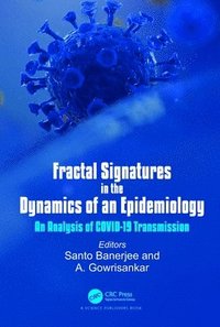 bokomslag Fractal Signatures in the Dynamics of an Epidemiology