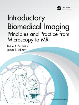 bokomslag Introductory Biomedical Imaging