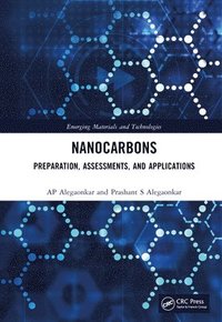 bokomslag Nanocarbons