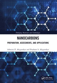 bokomslag Nanocarbons